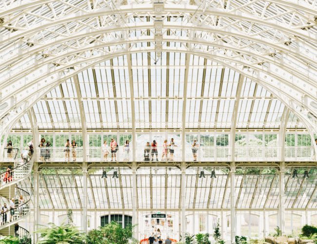 kew gardens london By  Doruk Yemenici/Unsplash