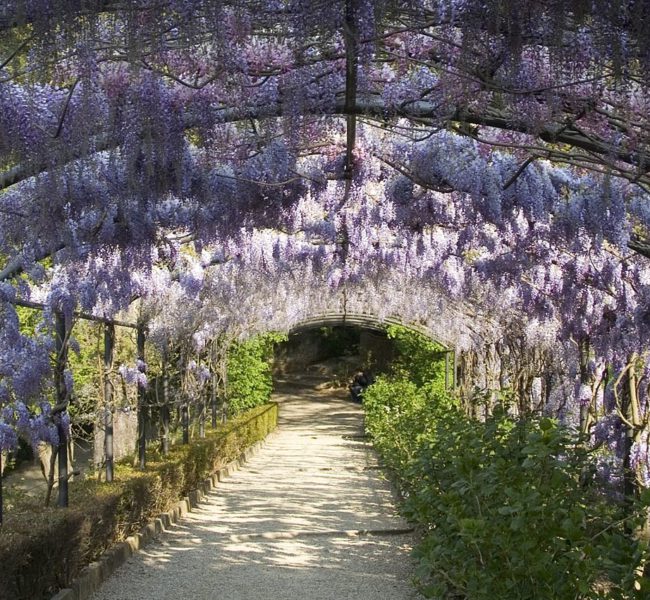 Villa Bardini Villa Bardini