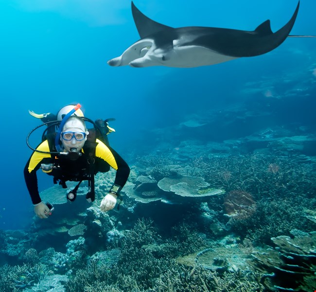 Manta Point Maldives Manta Point Maldives