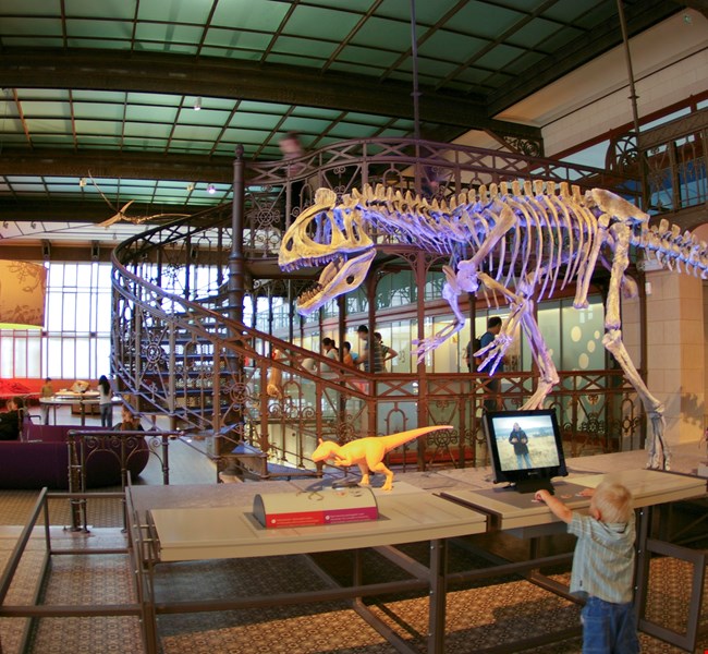 Royal Belgian Institute of Natural Sciences in Brussels Royal Belgian Institute of Natural Sciences in Brussels