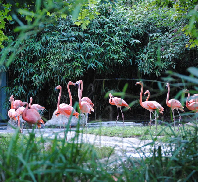 Schonberg Zoo Vienna Schonberg Zoo Vienna