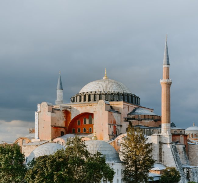 adli-wahid-IavBkAdcpdQ-unsplash adli-wahid-IavBkAdcpdQ-unsplash